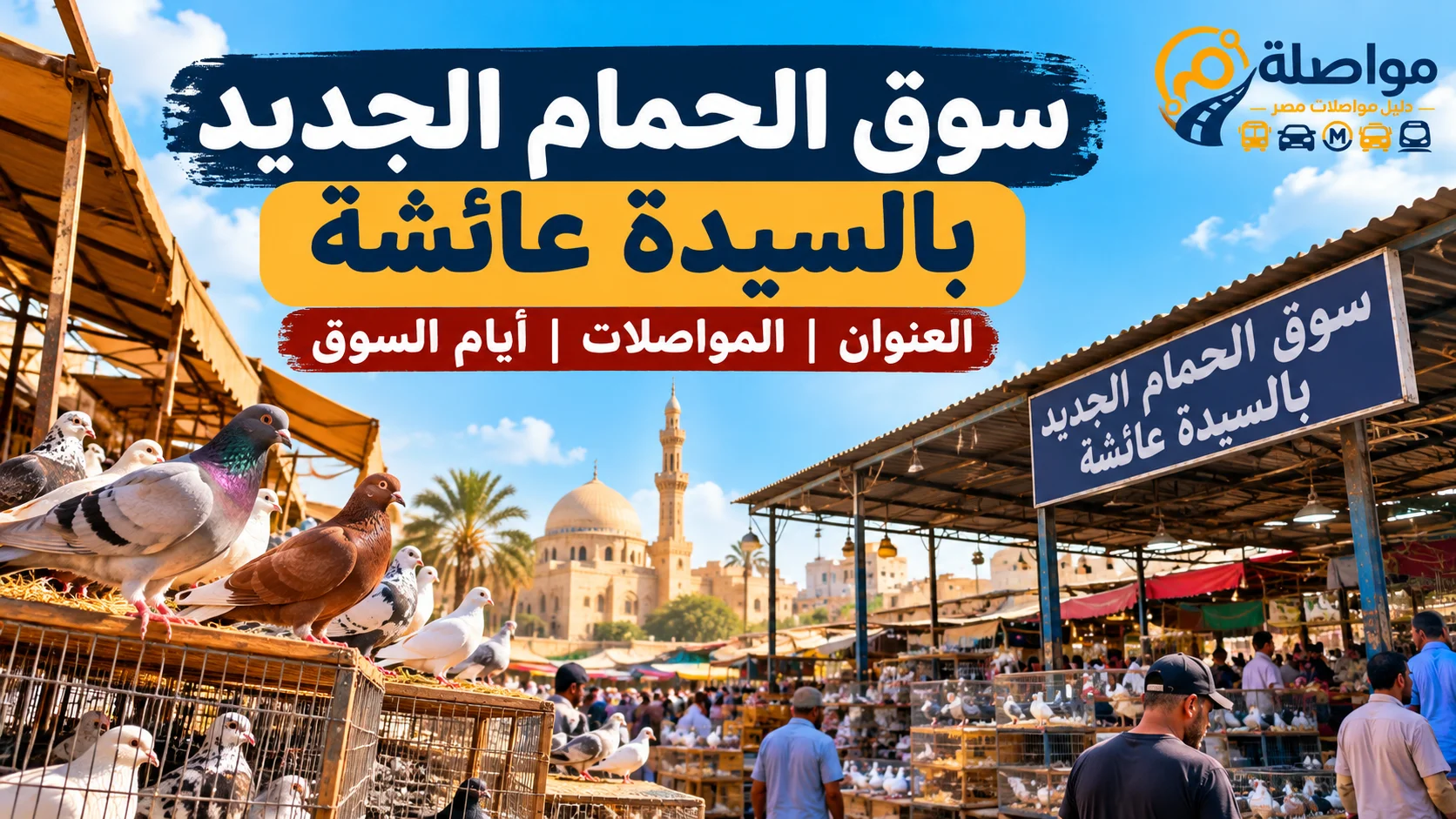 سوق الحمام الجديد بالسيدة عائشة 2026 | العنوان والمواصلات وأيام السوق